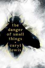 The Danger of Small Things