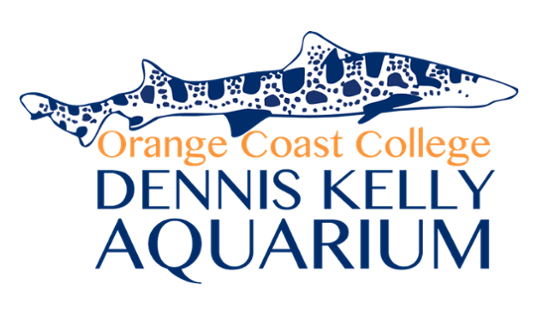 Dennis Kelly Aquarium