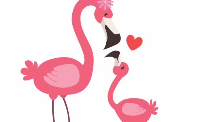 storytime flamingo cartoon pair