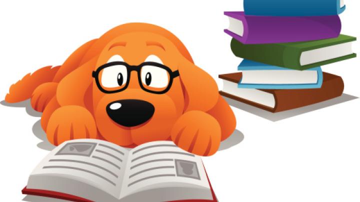 A dog wearing glasses is reading a book.
