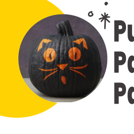 Pumpkin painted as a surprised cat next to the program name.